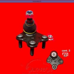 ROTULA 6RF DER