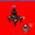 ROTULA 6RF DER