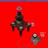 ROTULA 6RF DER